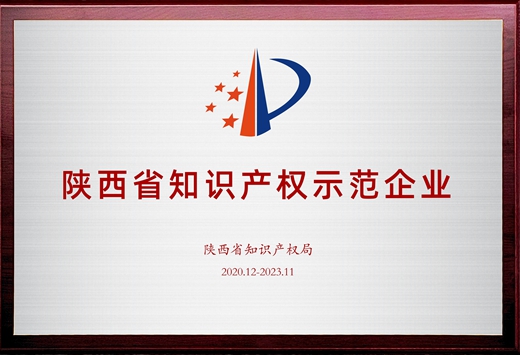 陜西省知識產(chǎn)權(quán)示范企業(yè)
