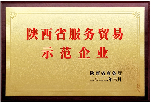 陜西省服務(wù)貿(mào)易示范企業(yè)