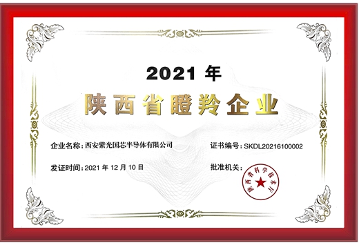 陜西省瞪羚企業(yè)